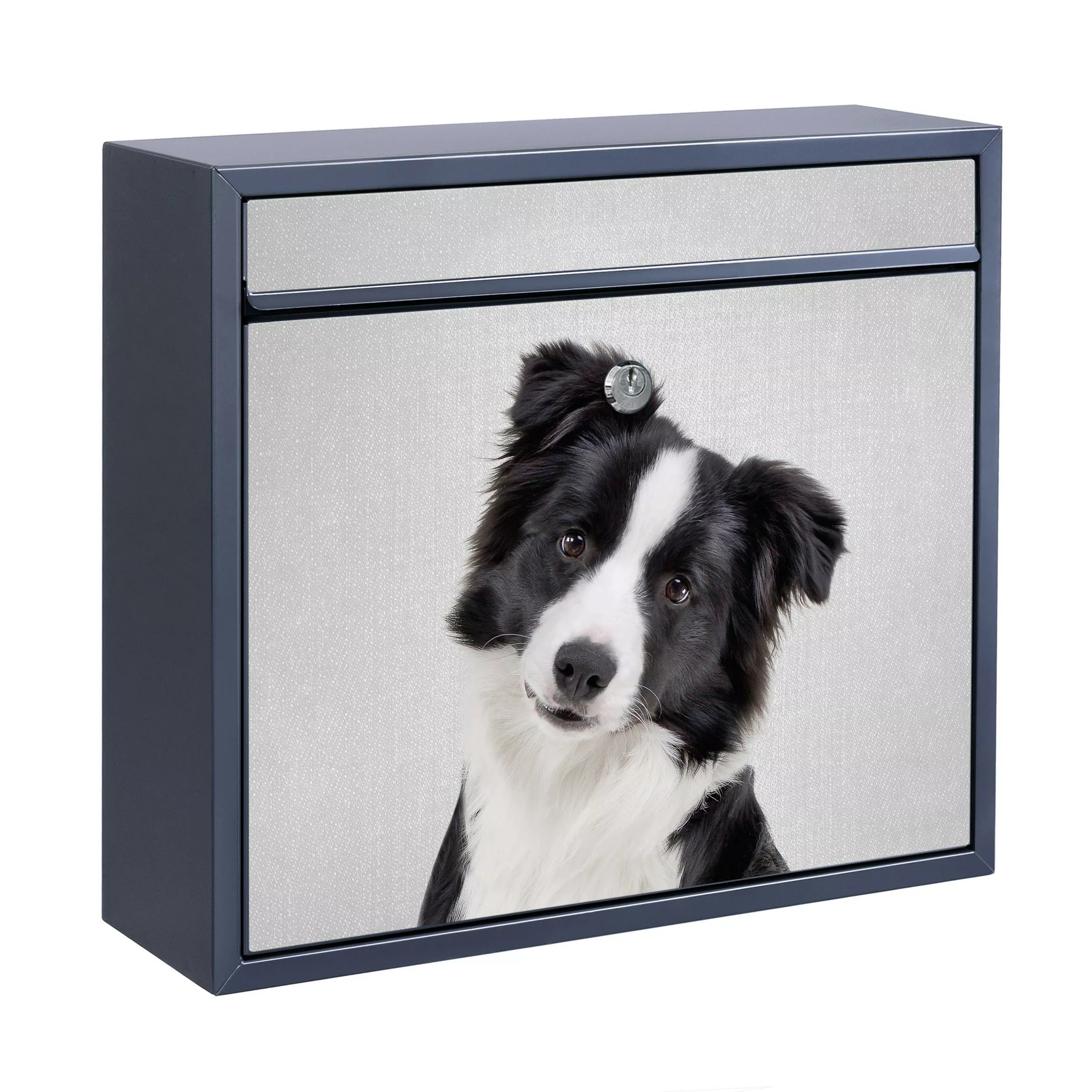 Briefkasten mit eigenem Text Bordercollie Benni günstig online kaufen