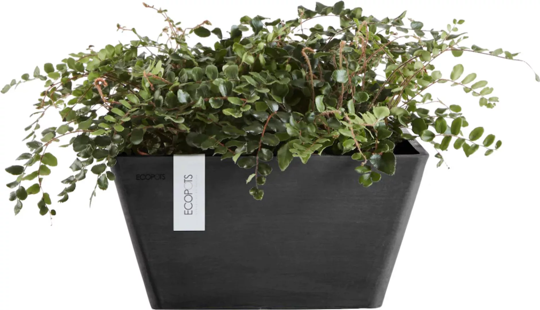 ECOPOTS Blumentopf "BERLIN Dark grey", BxTxH: 25x25x12,8 cm günstig online kaufen