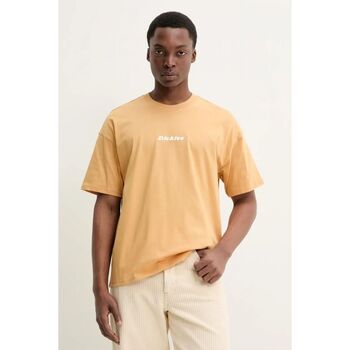 Dickies  T-Shirts & Poloshirts ENTERPRISE TEE DK0A4YRN-K411 OAK BUFF günstig online kaufen