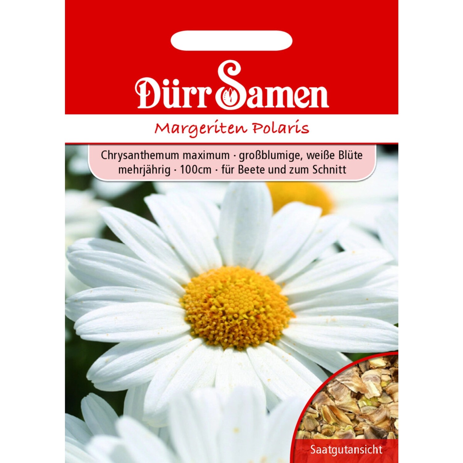 Dürr Samen Margeriten Polaris Weiß Mehrjährig Saatgut günstig online kaufen