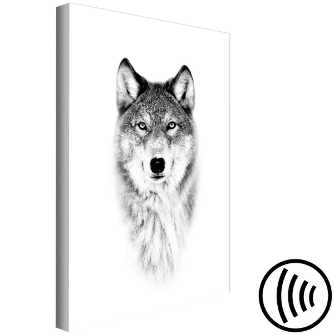 Leinwandbild Snow Wolf (1 Part) Vertical XXL günstig online kaufen