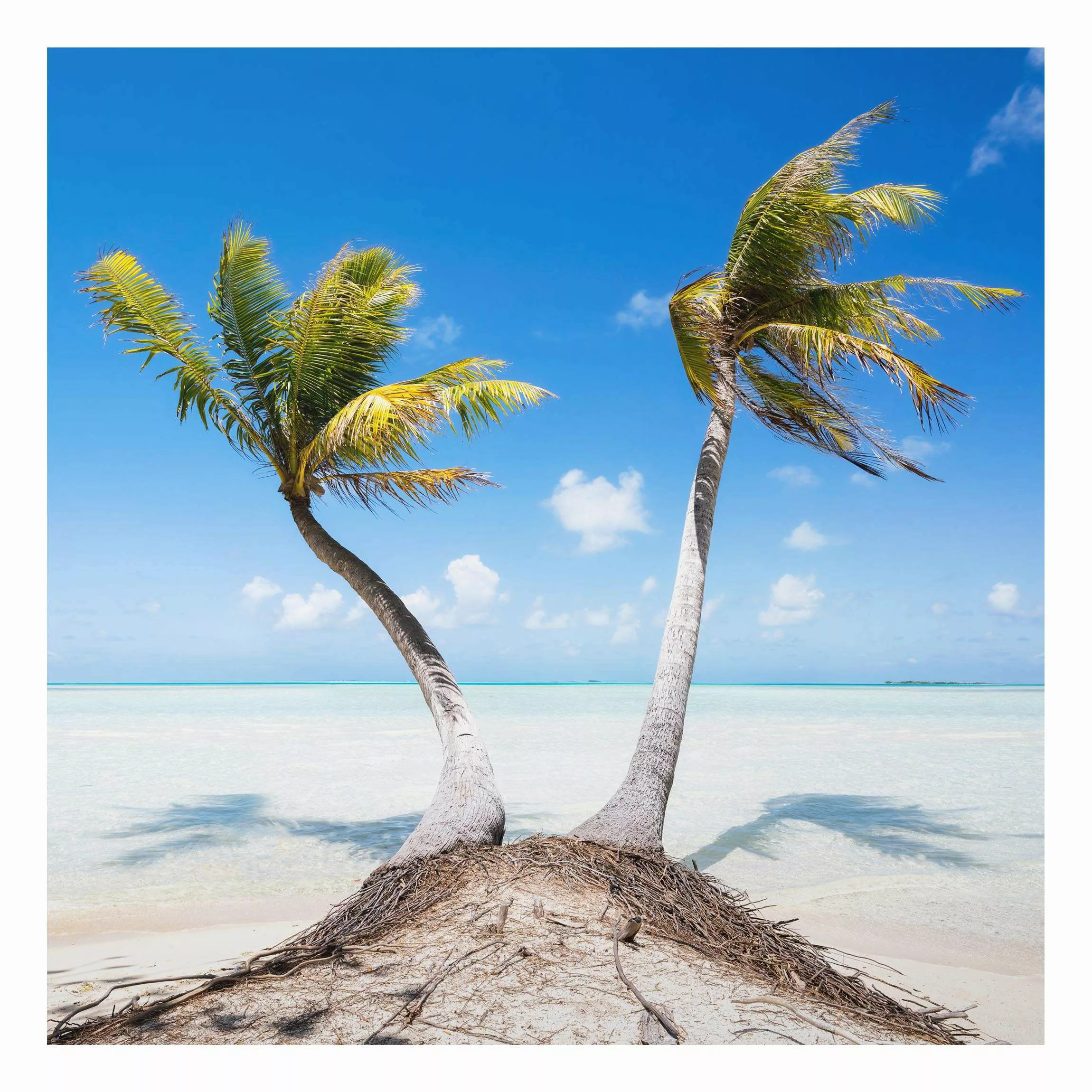 Alu-Dibond Bild Urlaub unter Palmen günstig online kaufen