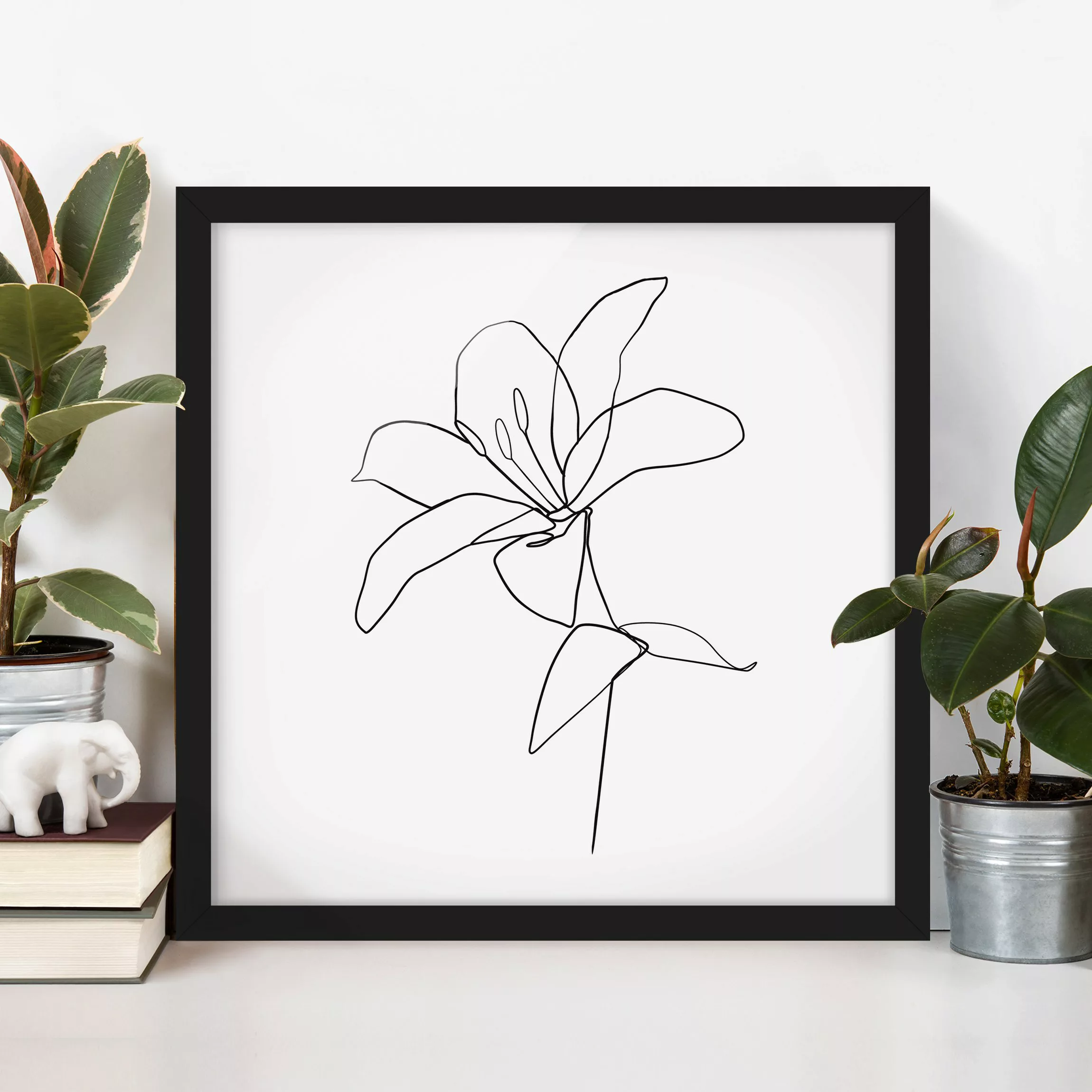 Bild mit Rahmen Blumen - Quadrat Line Art Blüte Schwarz Weiß günstig online kaufen