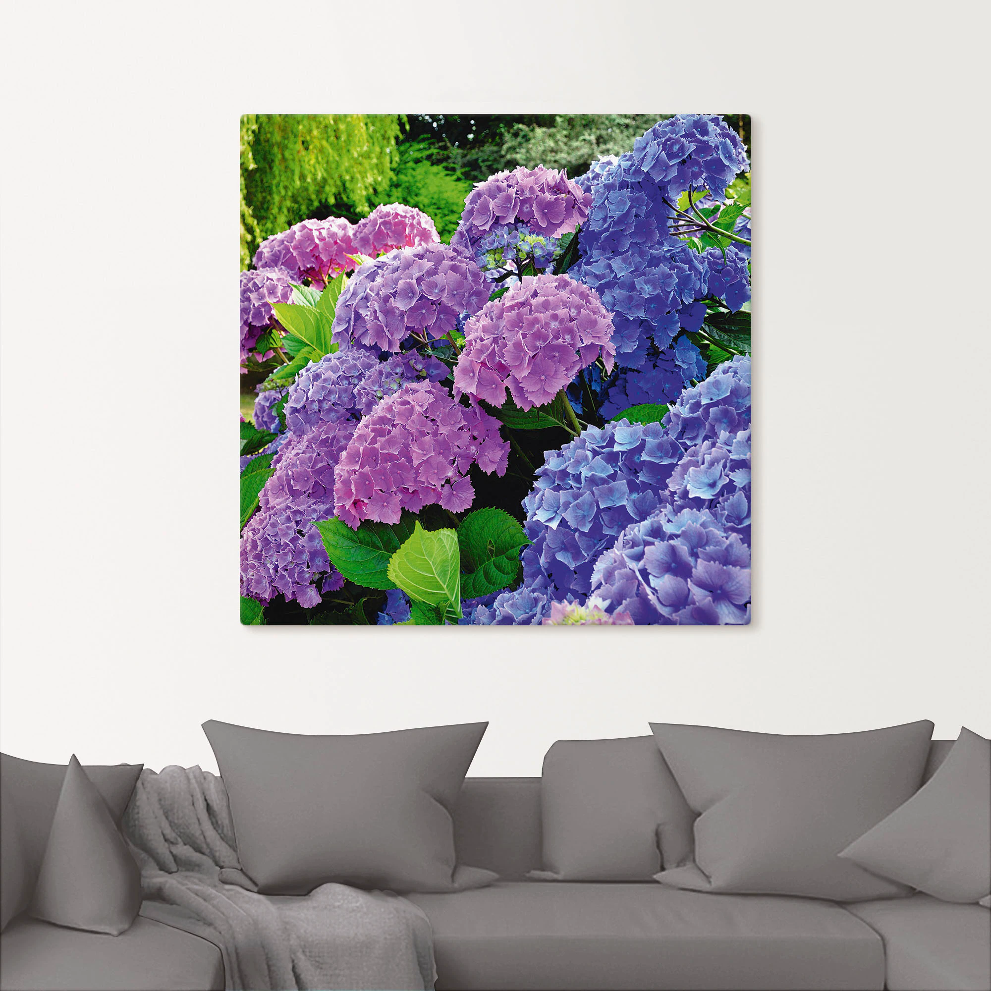 Artland Wandbild "Hortensien im Garten", Blumen, (1 St.), als Alubild, Outd günstig online kaufen