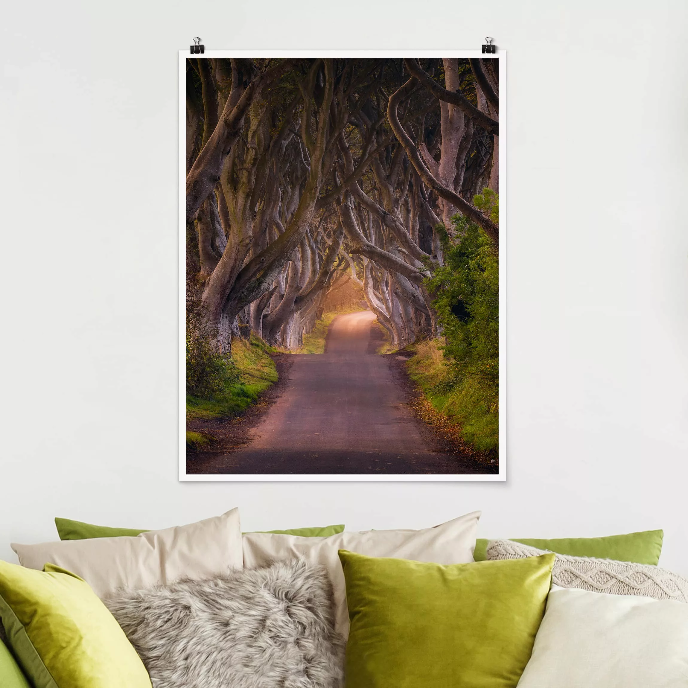 Poster Wald - Hochformat Tunnel aus Bäumen günstig online kaufen
