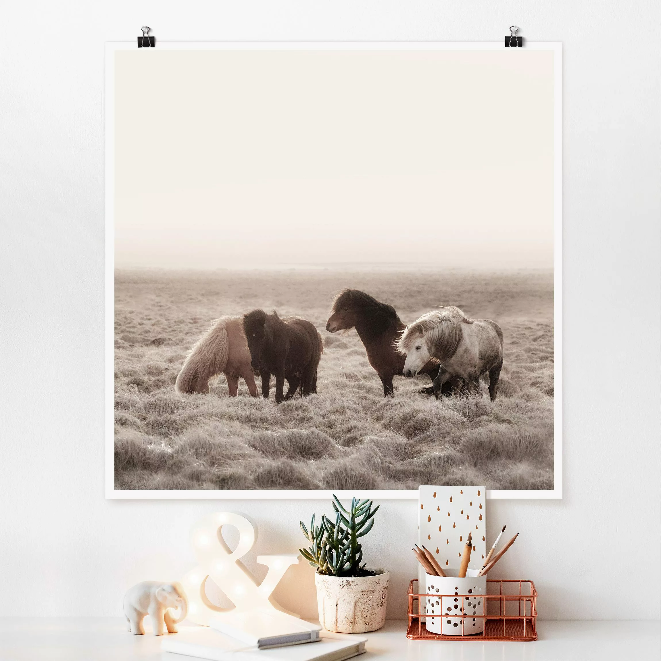 Poster Island Wildpferde günstig online kaufen