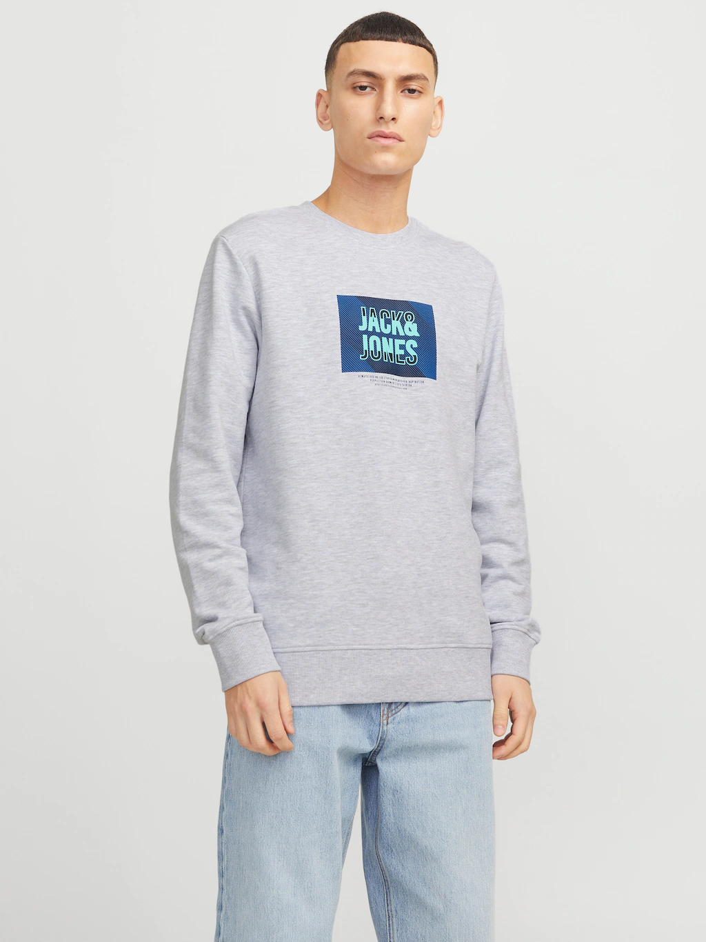 Jack & Jones Sweatshirt "JJHUDSON SWEAT CREW NECK" günstig online kaufen