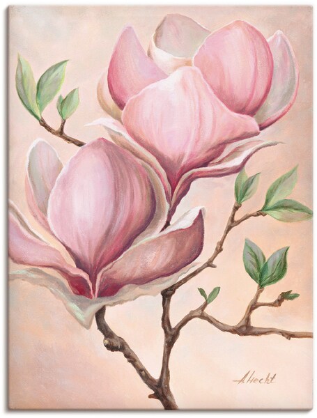 Artland Wandbild »Magnolienblüten«, Blumen, (1 St.), als Leinwandbild, Post günstig online kaufen