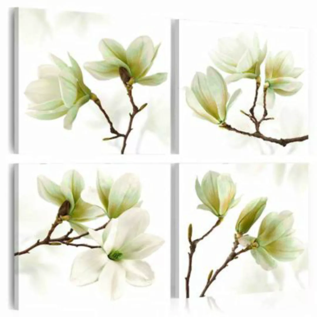 artgeist Wandbild Bewunderung der Magnolie grün/weiß Gr. 90 x 90 günstig online kaufen