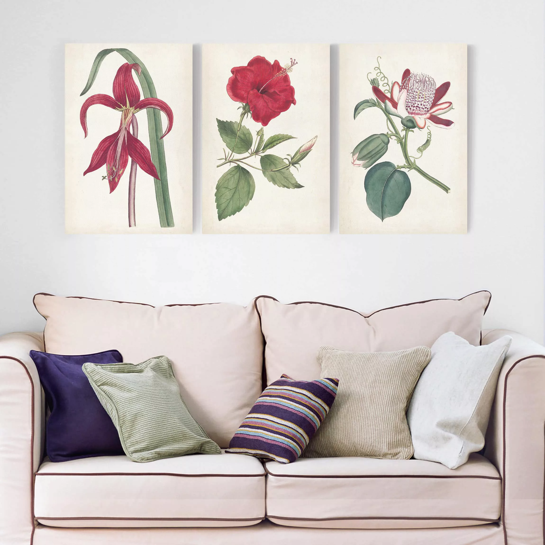 3-teiliges Leinwandbild Blumen - Hochformat Gartenschönheit Set I günstig online kaufen