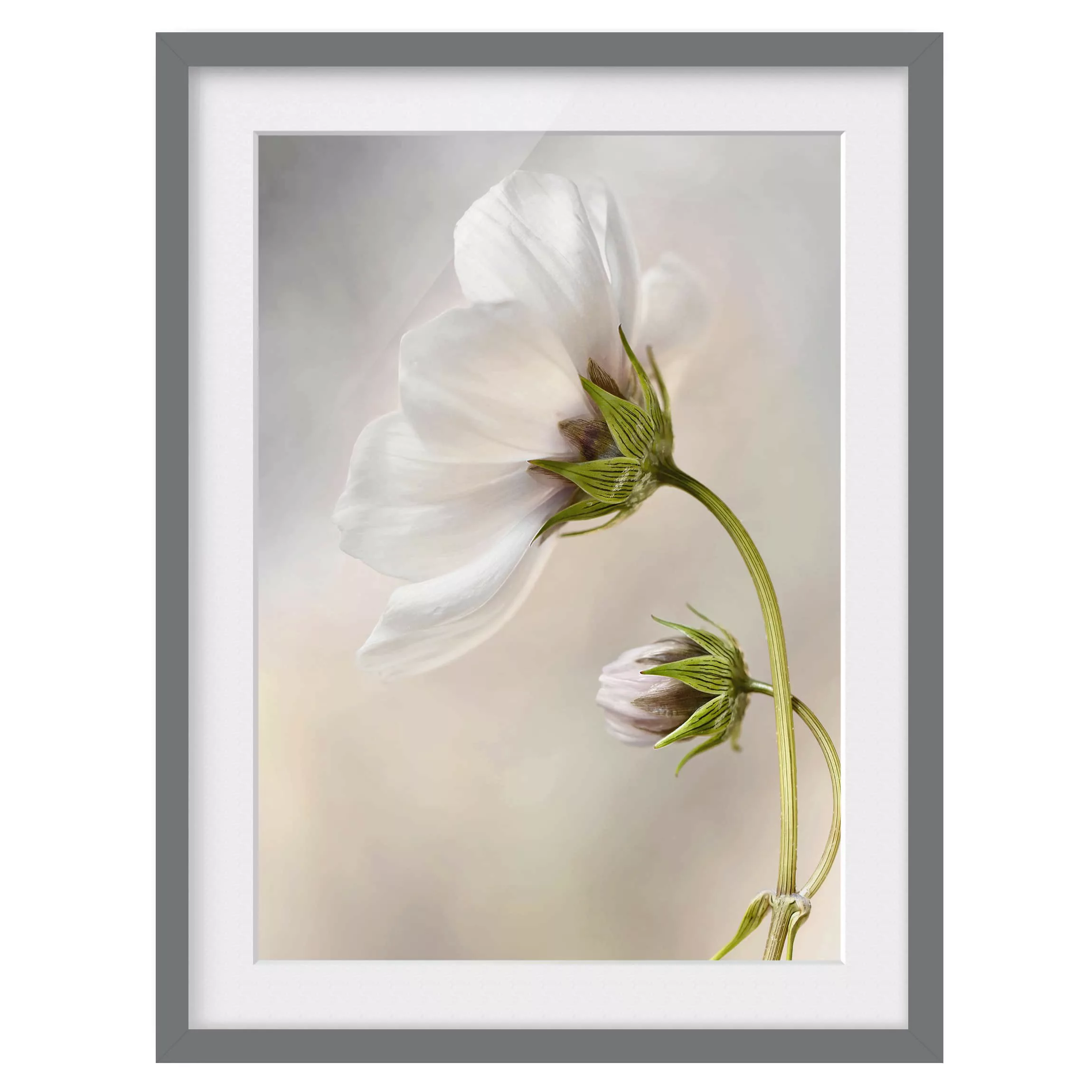 home24 Bild Himmlischer Blütentraum III günstig online kaufen