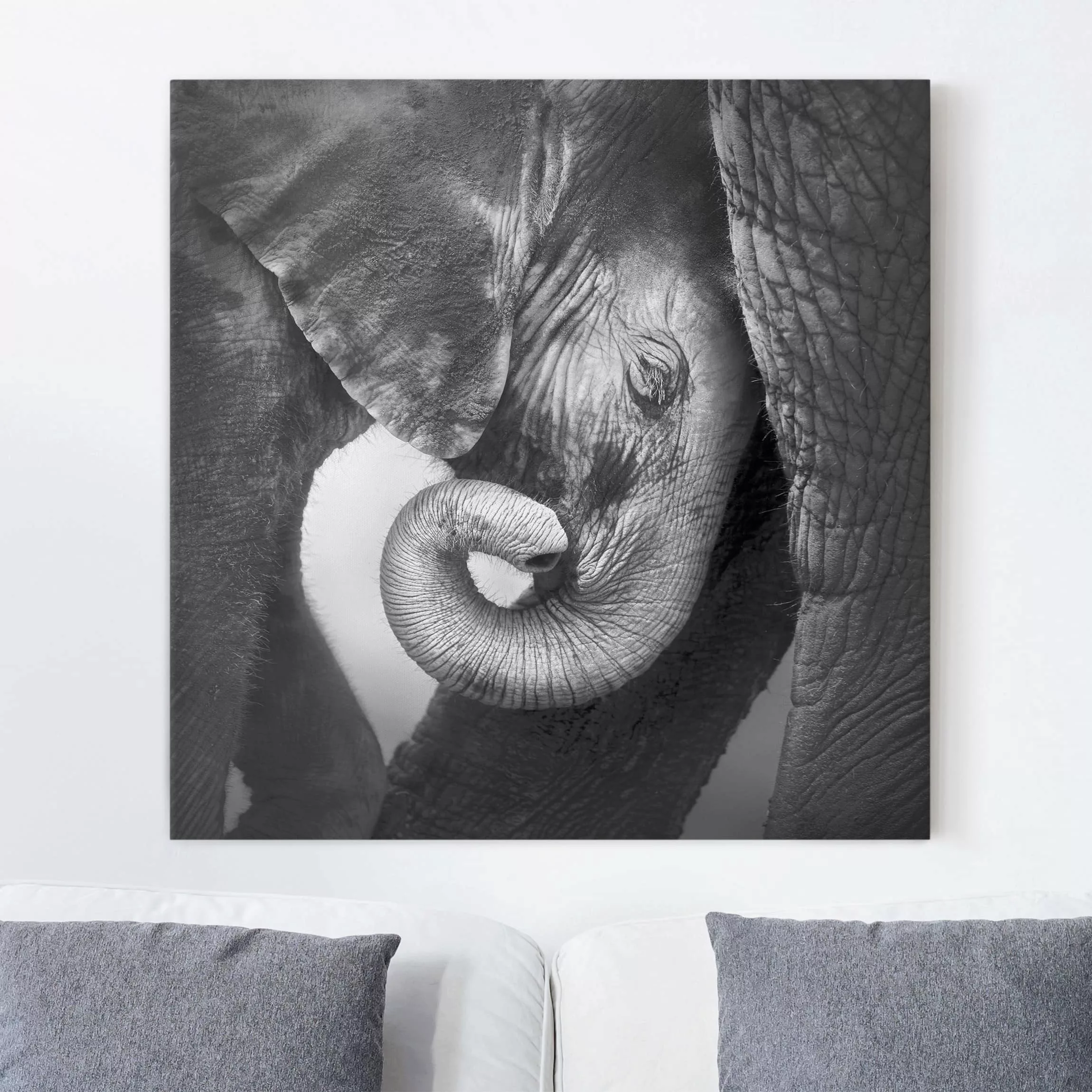 Leinwandbild Elefant - Quadrat Mutterliebe günstig online kaufen