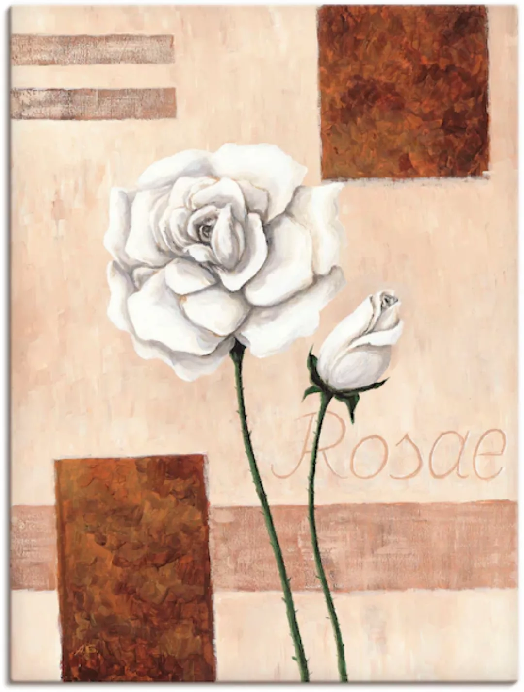 Artland Leinwandbild "Rosae - Rosen", Blumenbilder, (1 St.), auf Keilrahmen günstig online kaufen