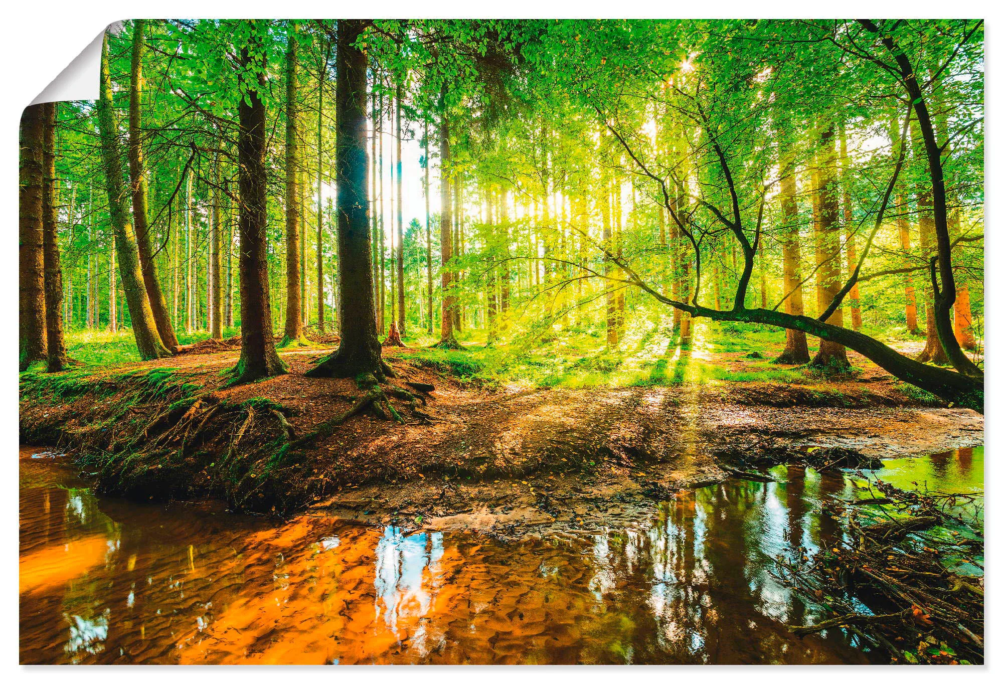 Artland Wandbild "Wald mit Bach", Wald, (1 St.), als Alubild, Outdoorbild, günstig online kaufen