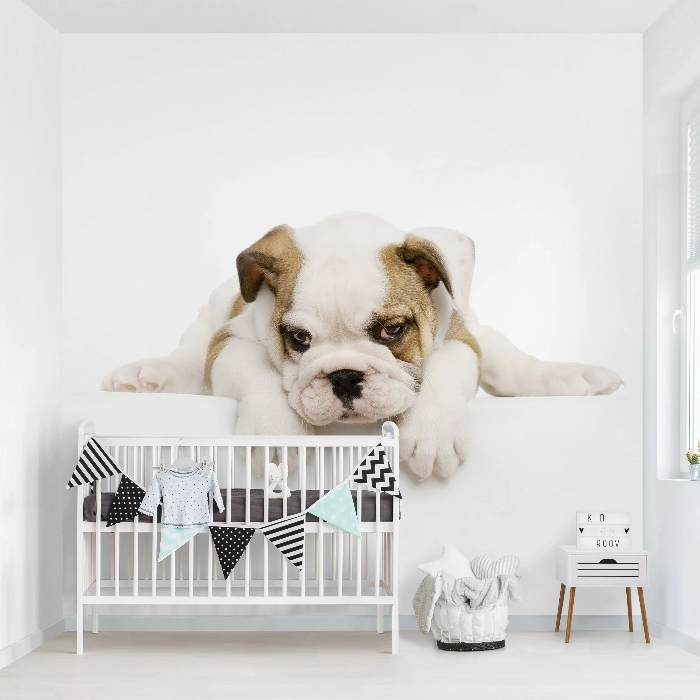 Bilderwelten Kindertapete Kleine Bulldogge weiß Gr. 192 x 192 günstig online kaufen