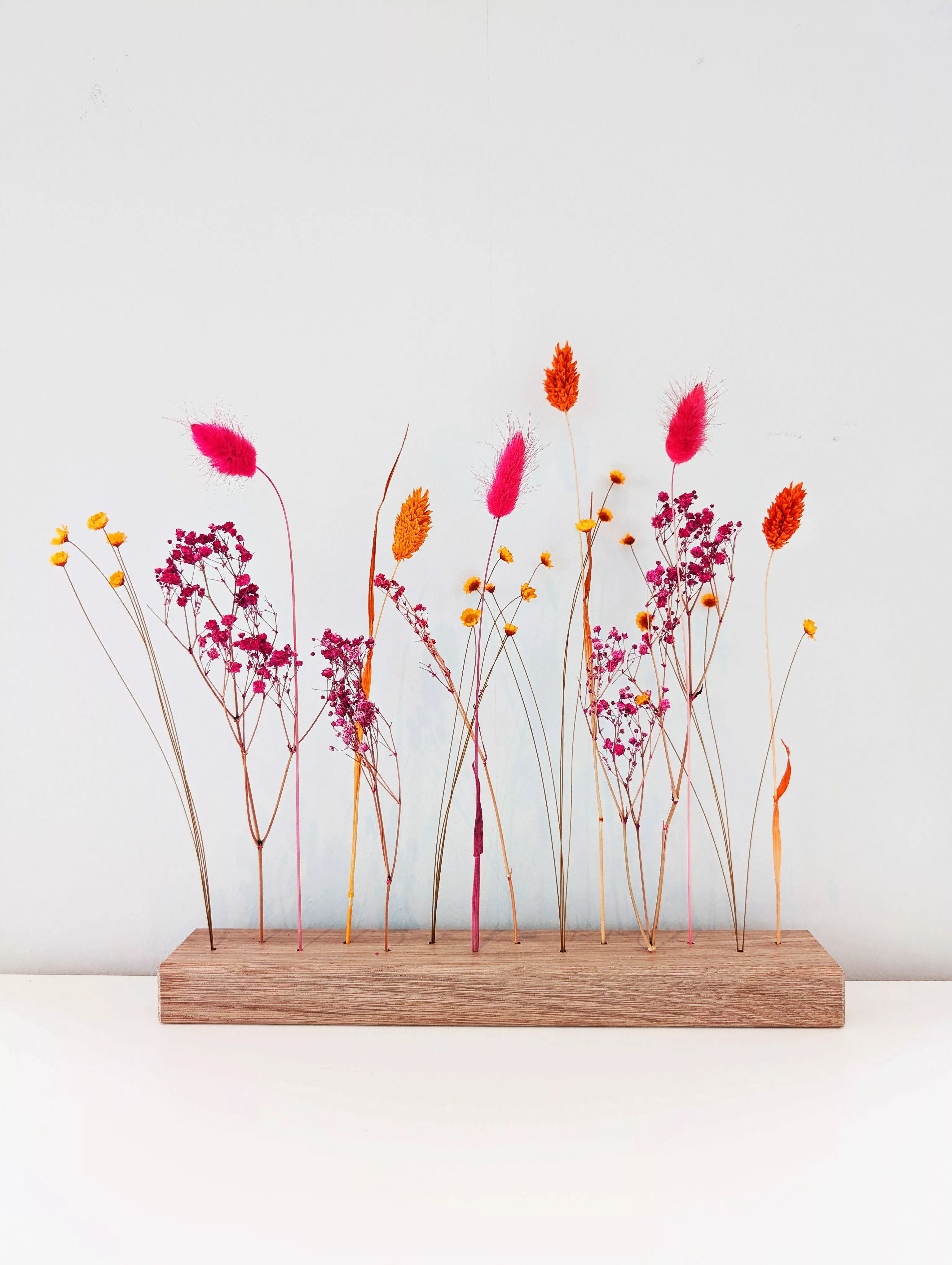 Trockenblume FlowerBar Feuerblüte, Holzleiste mit Trockenblumen günstig online kaufen