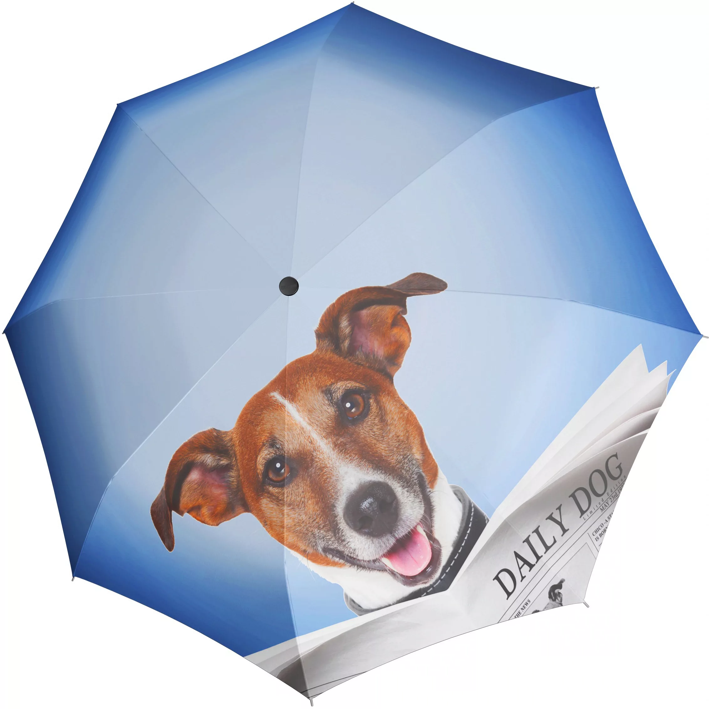 doppler Taschenregenschirm "Modern Art Magic Mini, Daily Dog" günstig online kaufen