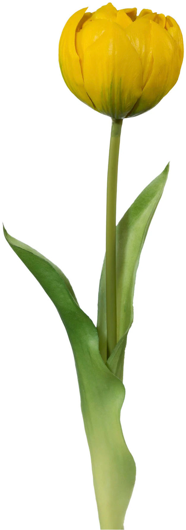Creativ green Kunstblume "Tulpe", mit real-touch-Blüten günstig online kaufen