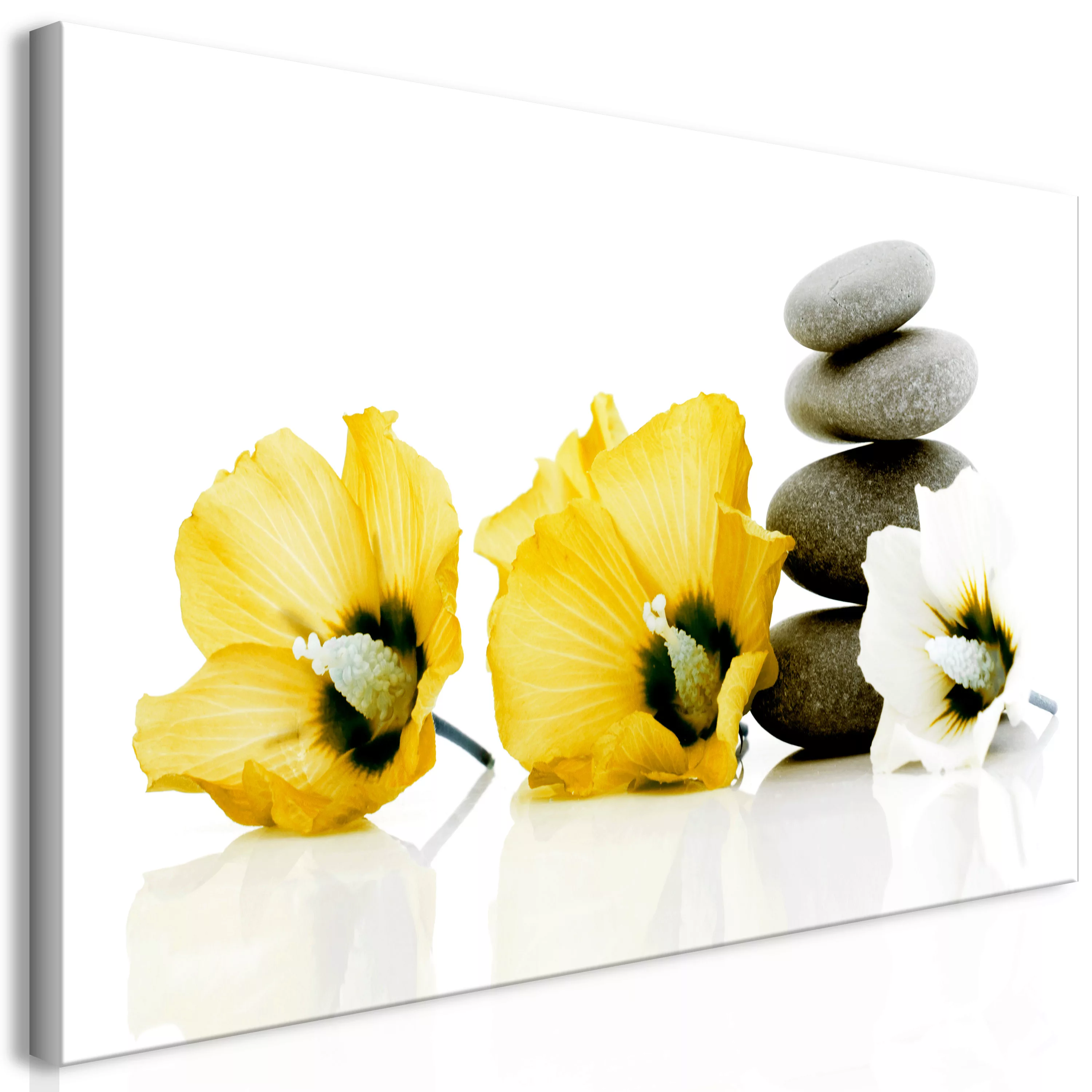 Wandbild - Calm Mallow (1 Part) Yellow günstig online kaufen