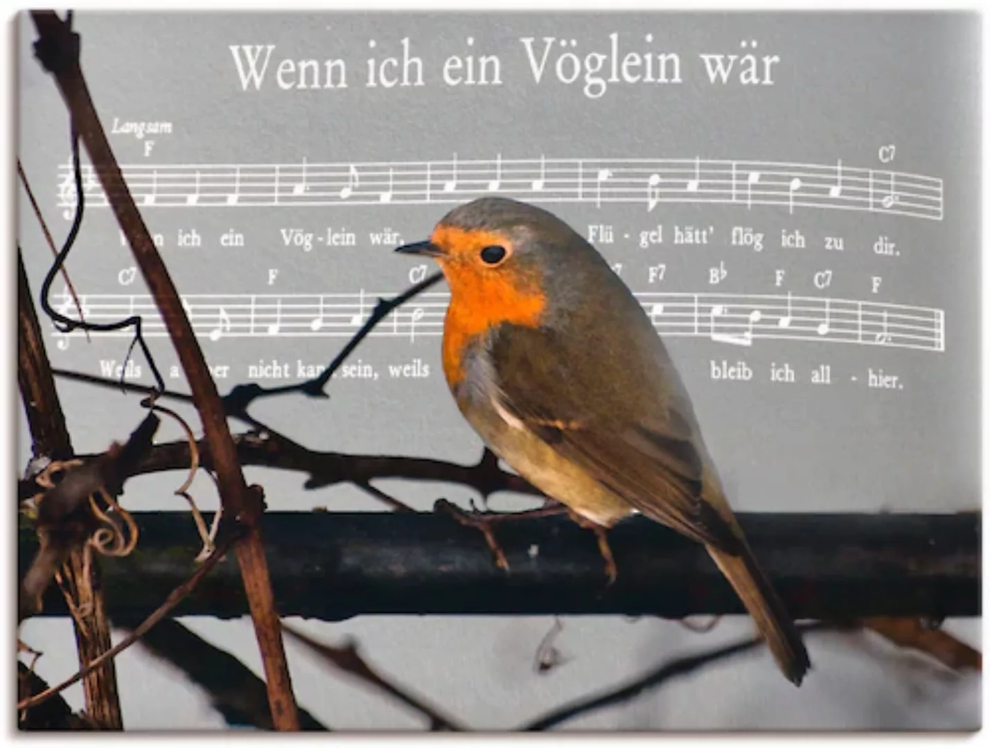 Artland Leinwandbild "Wenn ich ein Vöglein wär", Vögel, (1 St.), auf Keilra günstig online kaufen