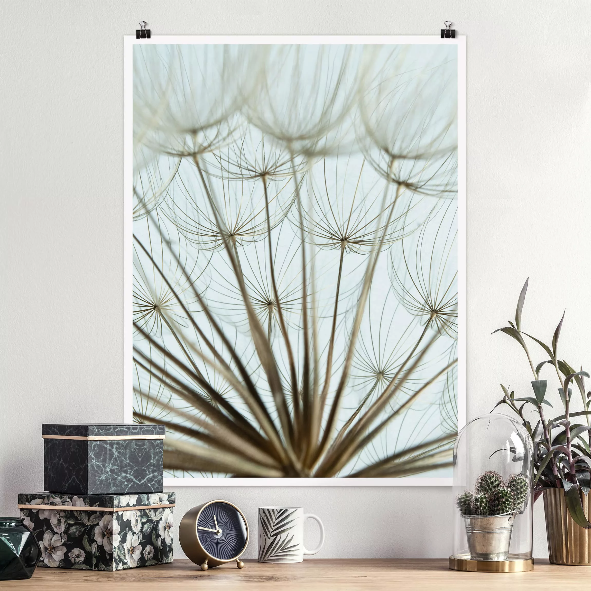 Poster Blumen - Hochformat Schöne Pusteblume Makroaufnahme günstig online kaufen