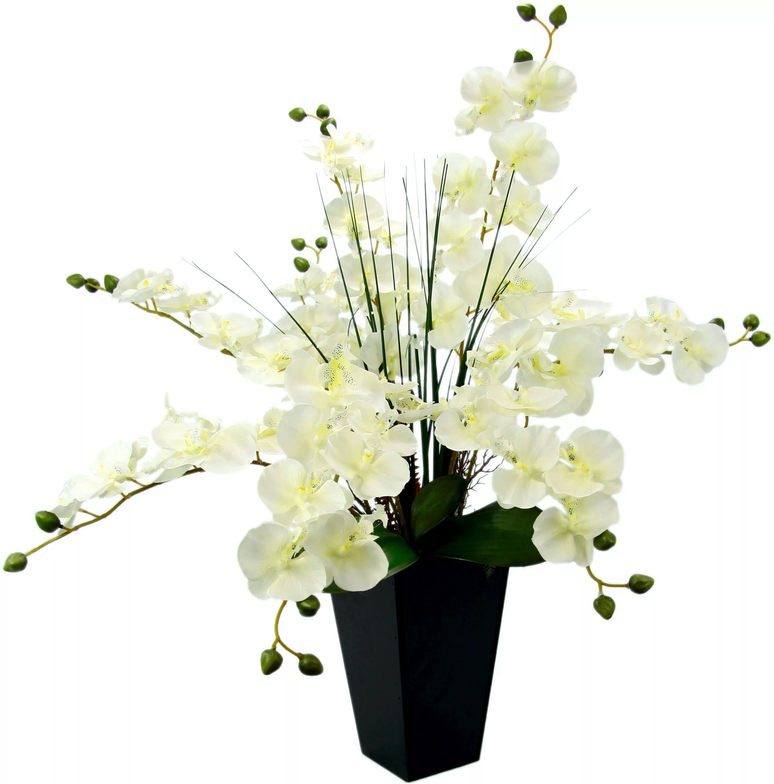 I.GE.A. Kunstpflanze "Phalaenopsis im Topf" günstig online kaufen