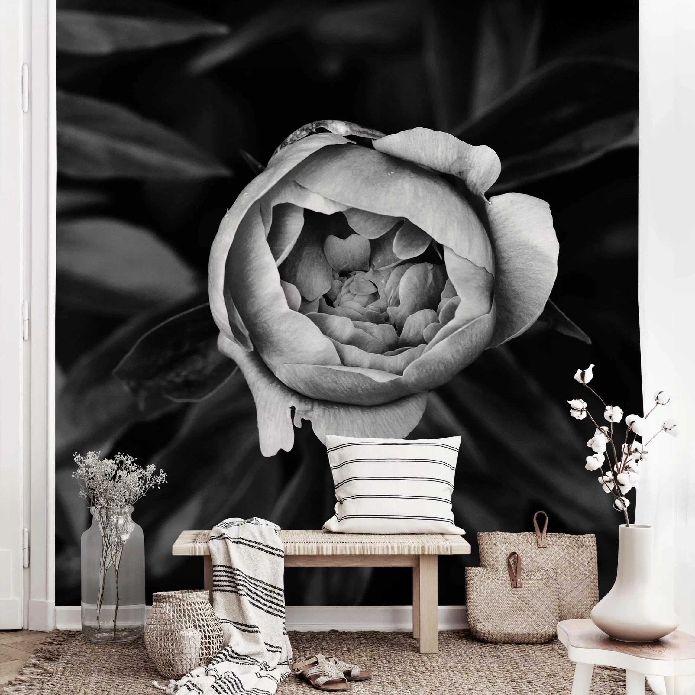 Fototapete Pfingstrosenblüte vor Blättern Schwarz-Weiß günstig online kaufen