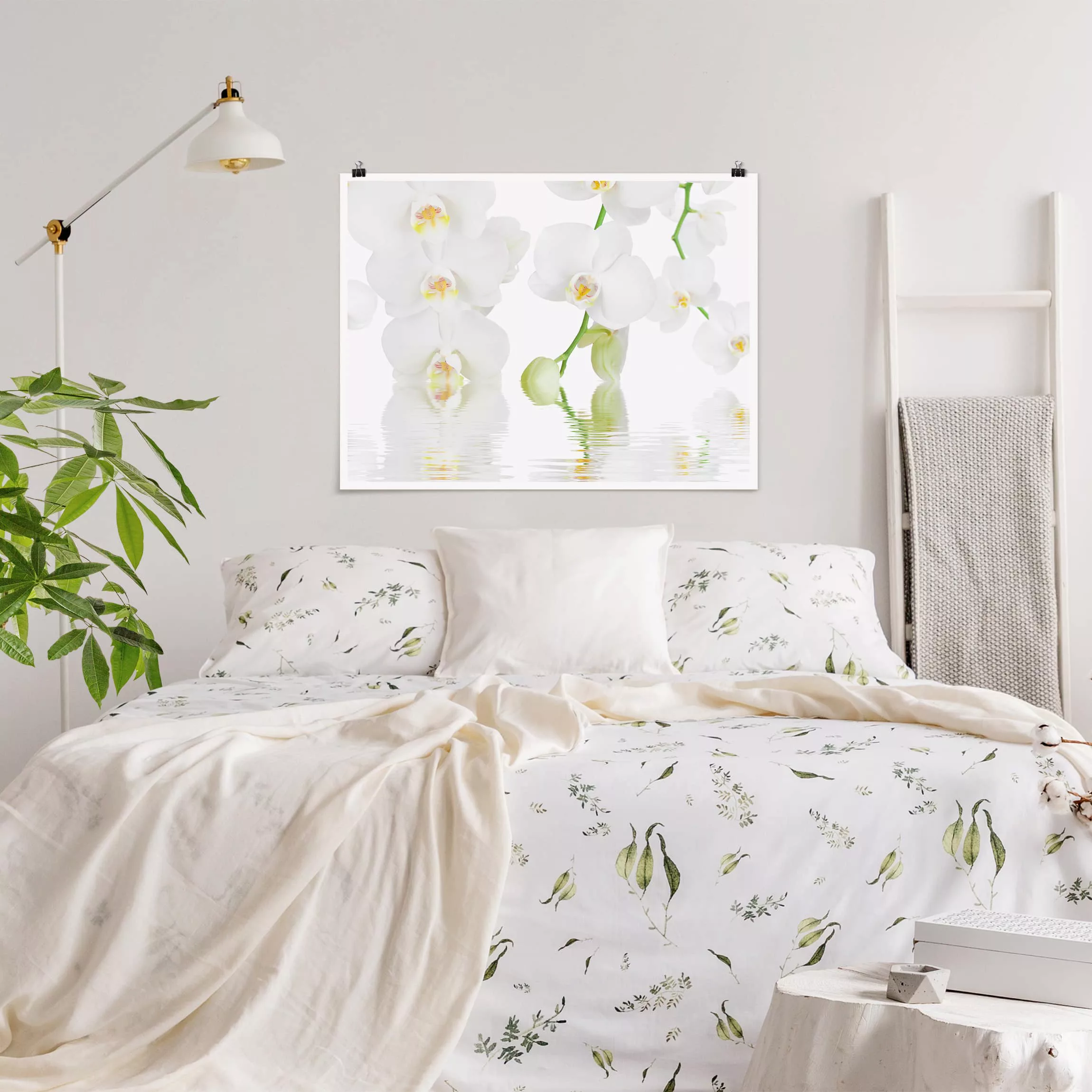 Poster Blumen - Querformat Wellness Orchidee - Weiße Orchidee günstig online kaufen
