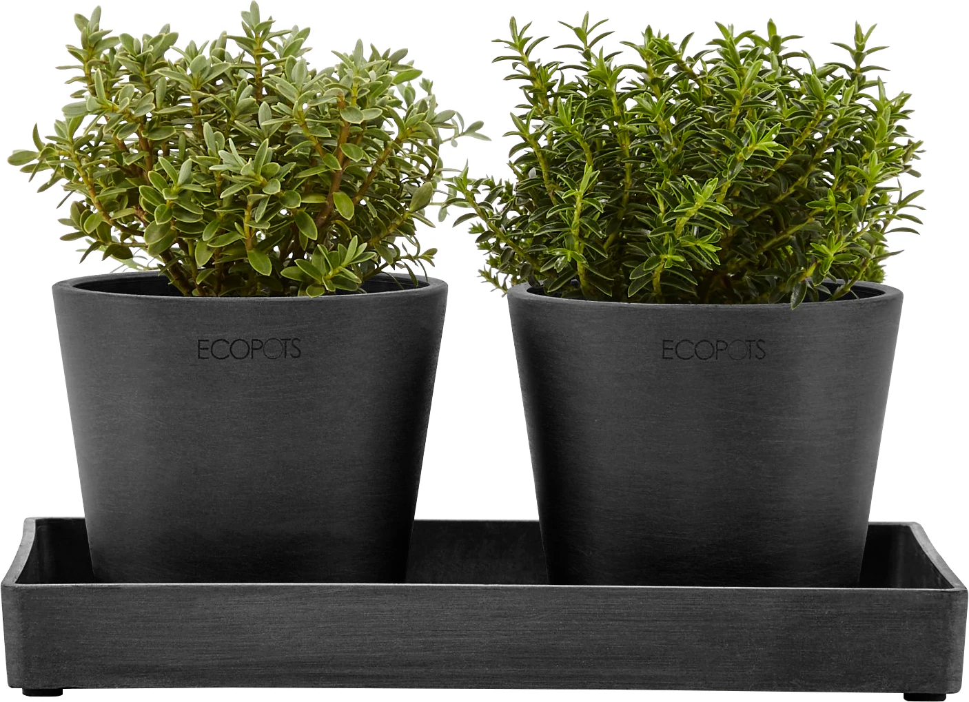 Ecopots Untersetzer Eckig Weißgrau 25 cm x 10 cm x 2,5 cm günstig online kaufen