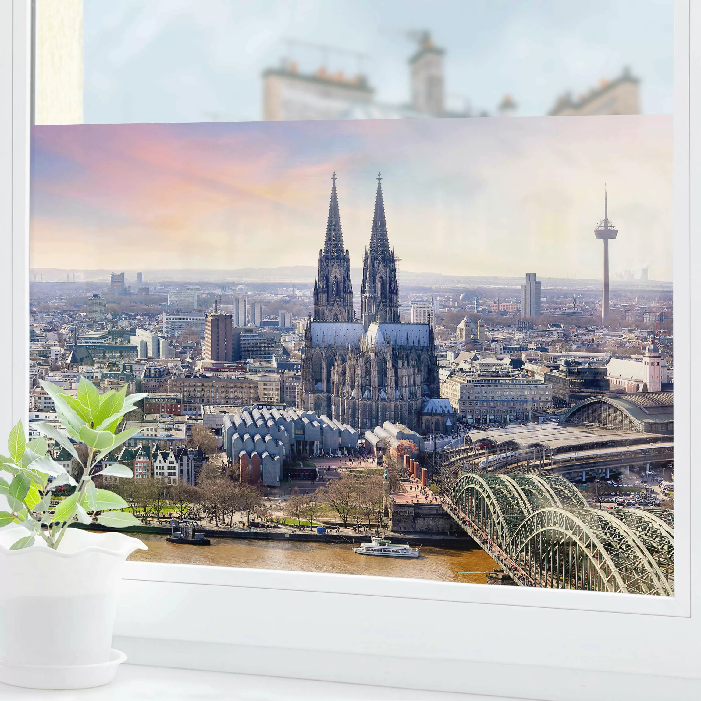 Fensterfolie Köln Skyline mit Dom günstig online kaufen
