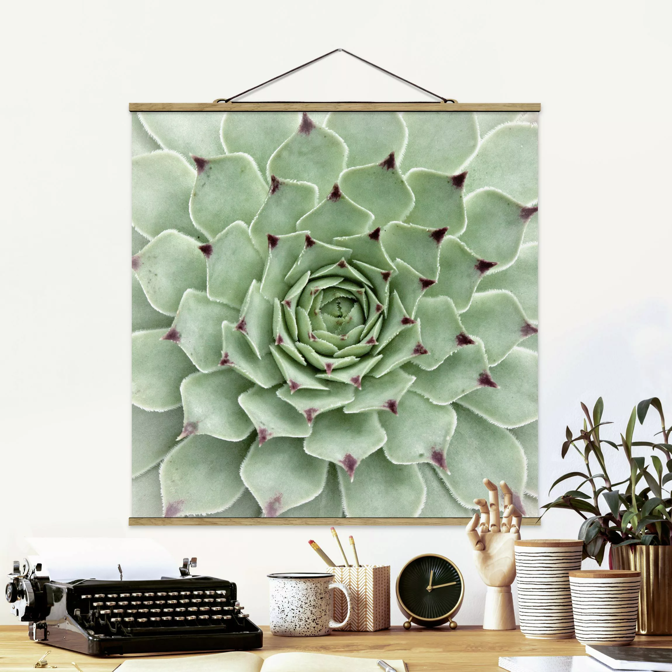 Stoffbild Blumen mit Posterleisten - Quadrat Steinrose Jovibarba Hirta günstig online kaufen