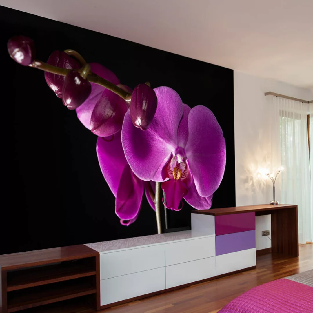 Fototapete - elegant  Orchidee günstig online kaufen