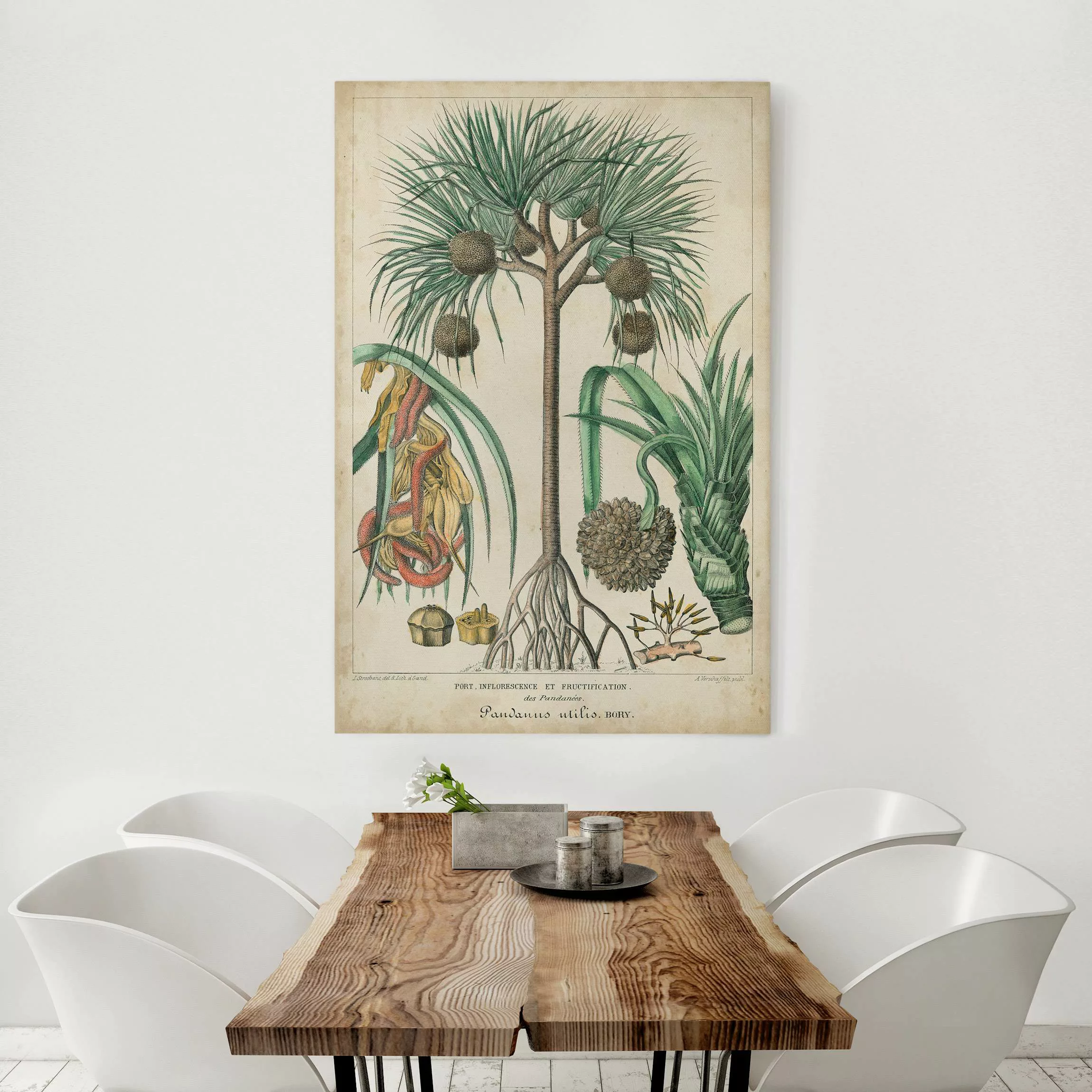 Leinwandbild Vintage Lehrtafel Exotische palmen I günstig online kaufen