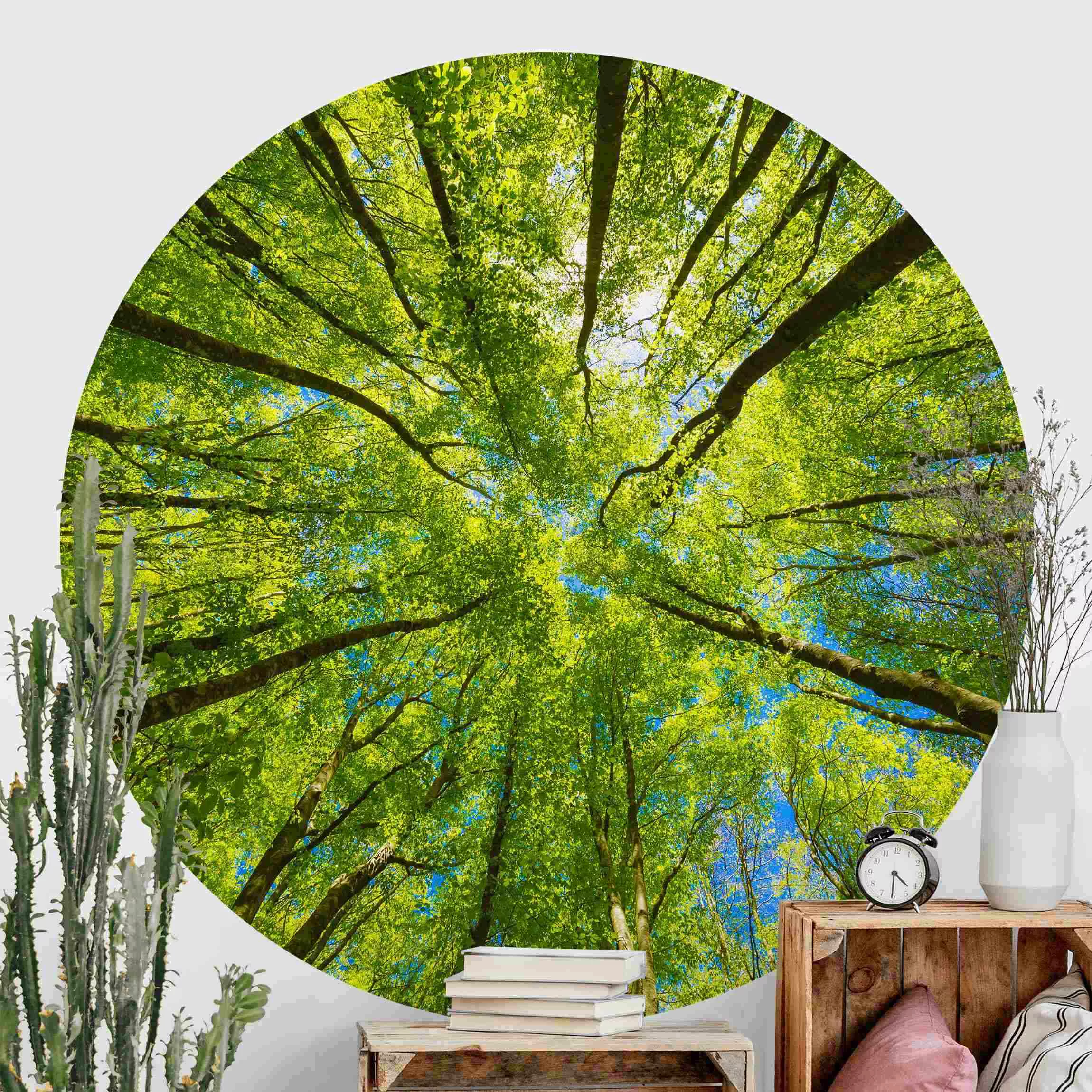 Runde Tapete selbstklebend Grüne Baumkronen im Himmel günstig online kaufen