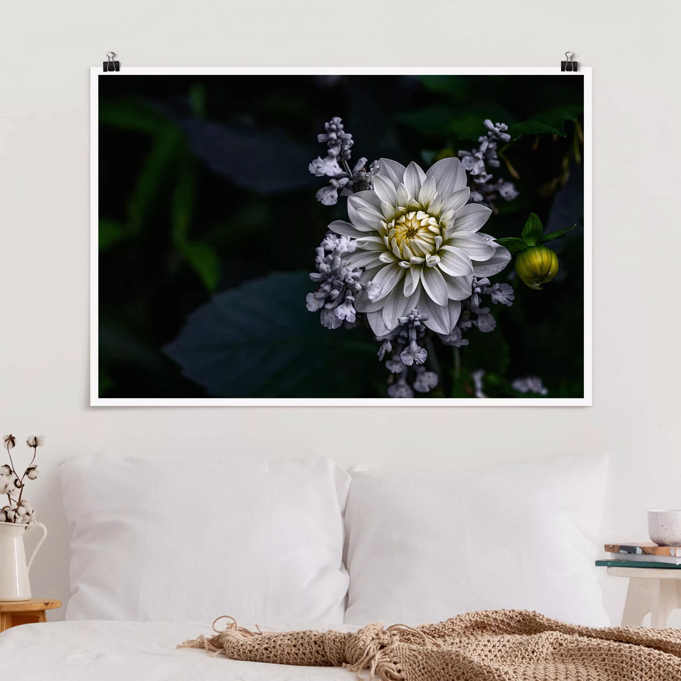 Poster Blumen - Querformat Weiße Dahlie günstig online kaufen