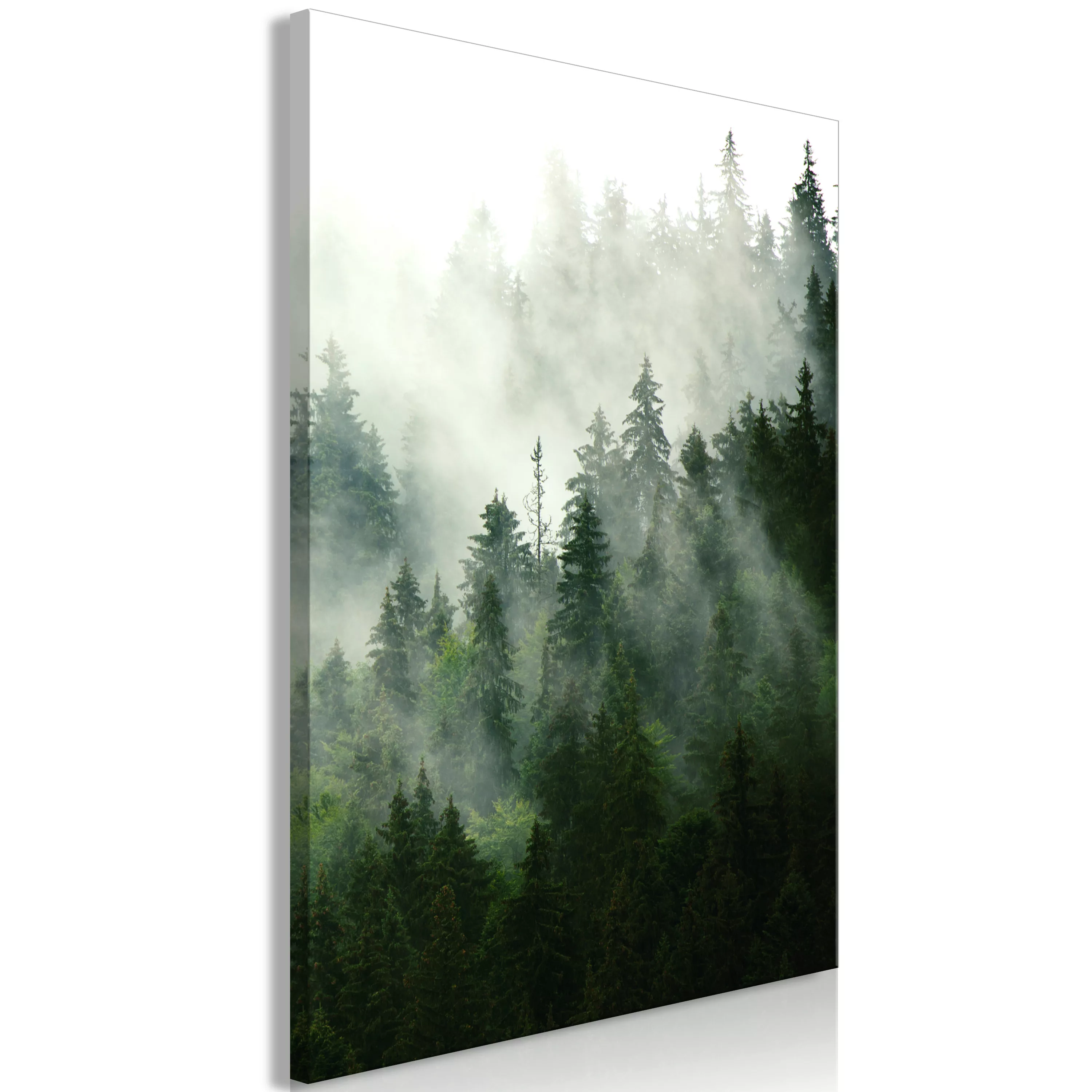 Wandbild - Coniferous Forest (1 Part) Vertical günstig online kaufen
