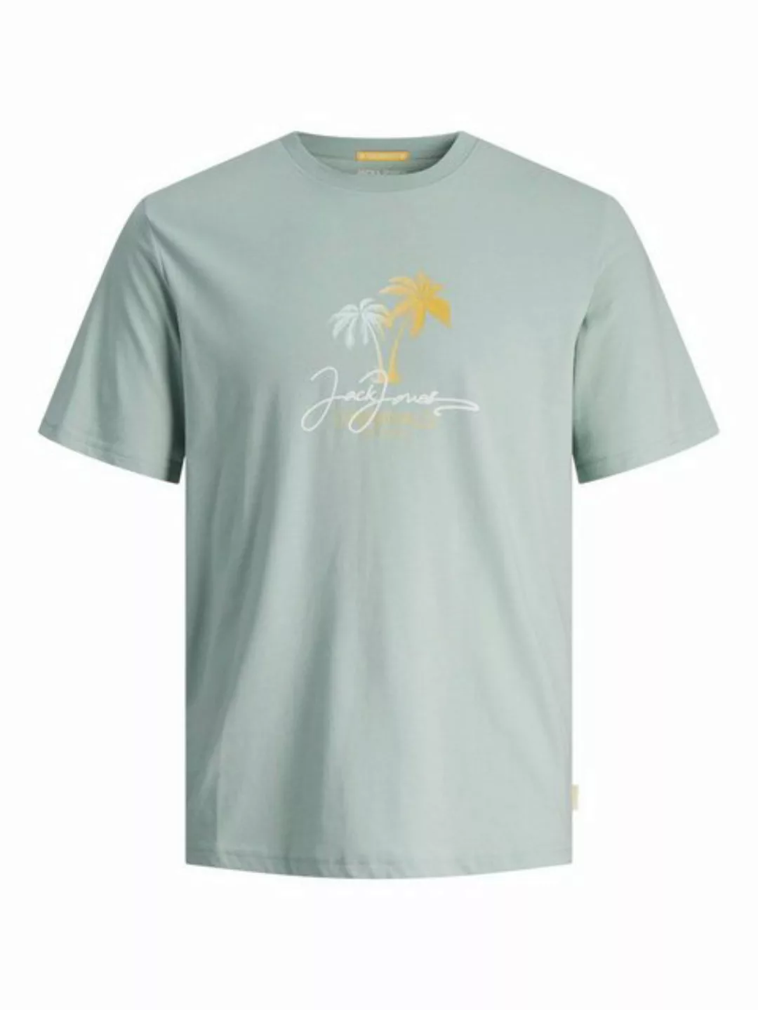 Jack & Jones T-Shirt JORCASEY TEE SS CREW NECK LN günstig online kaufen