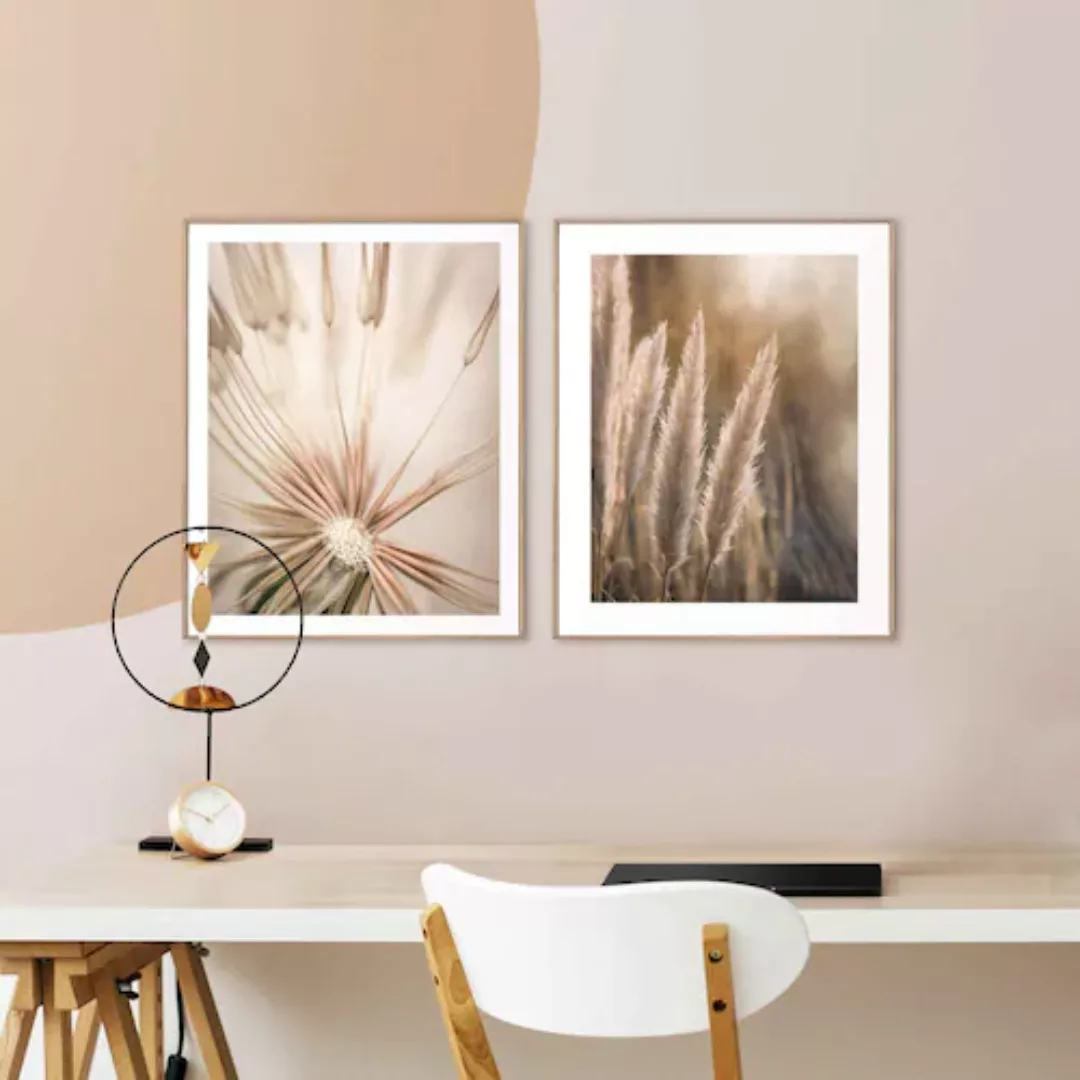 Reinders! Wandbild »Natur Botanisch - Pampas - Löwenzahn - Nahaufnahme«, (2 günstig online kaufen