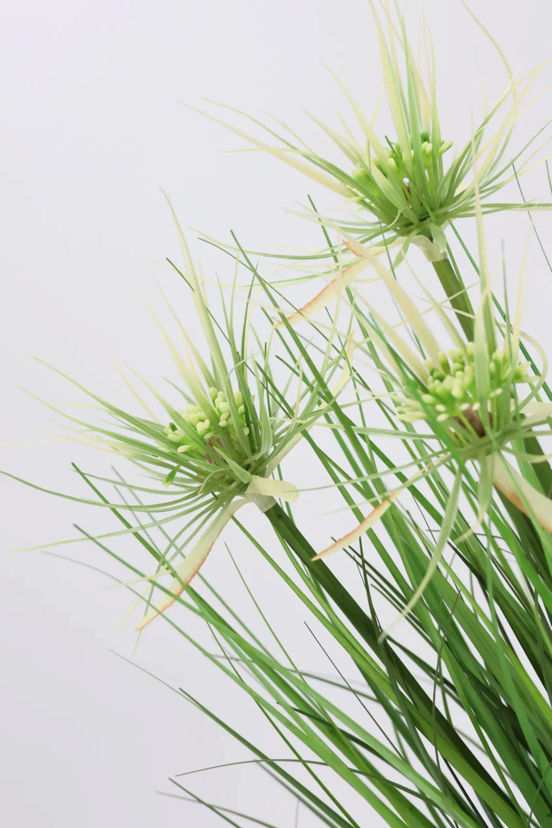 I.GE.A. Kunstpflanze "Protea im Grasbusch" günstig online kaufen