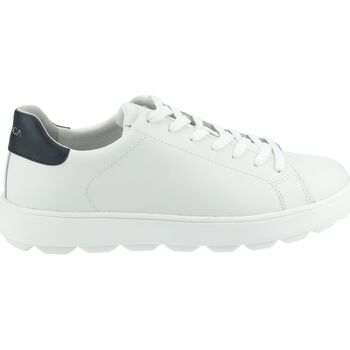 Geox  Sneaker Sneaker günstig online kaufen