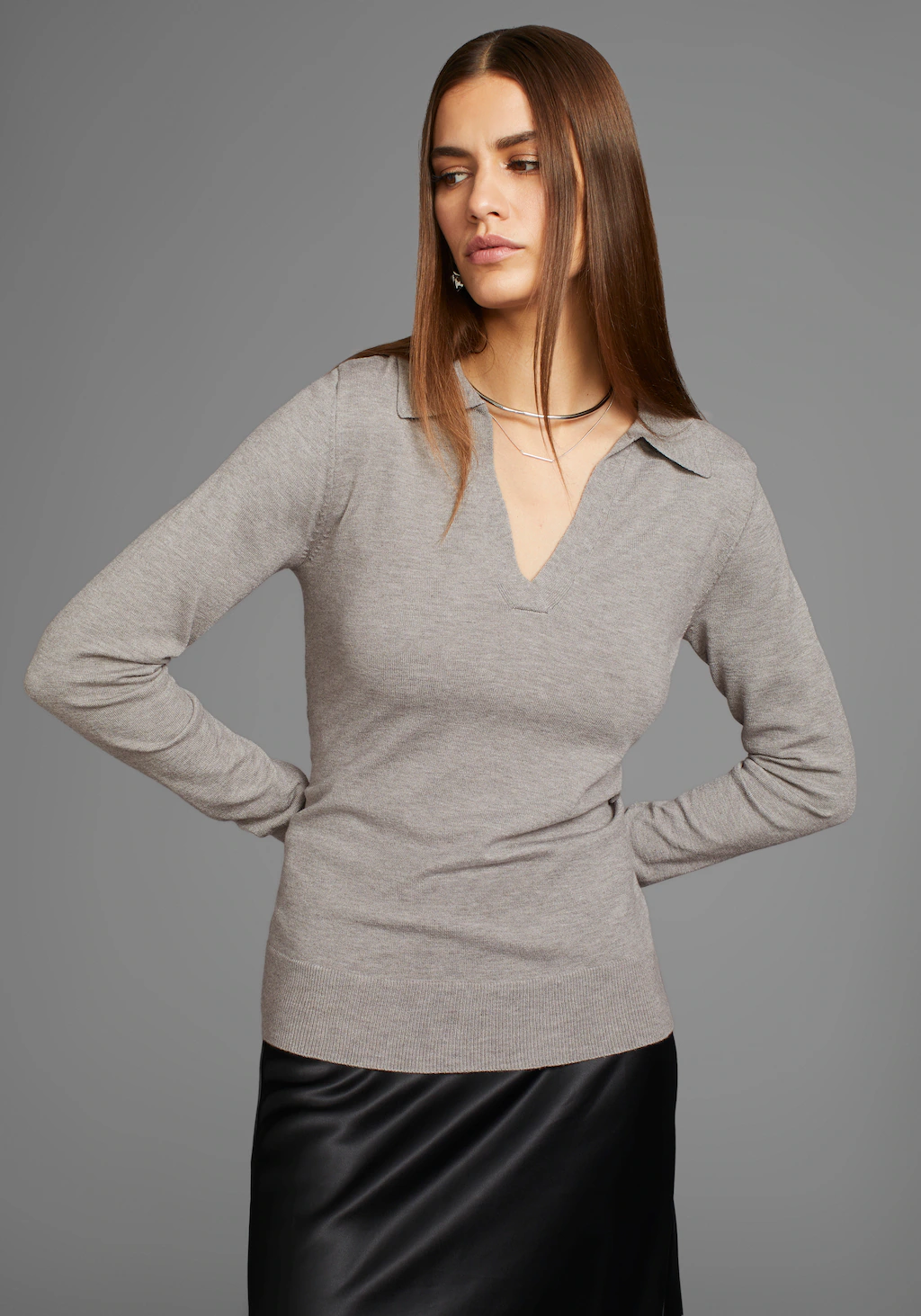 HECHTER PARIS Polokragenpullover mit elegantem V-Ausschnitt günstig online kaufen