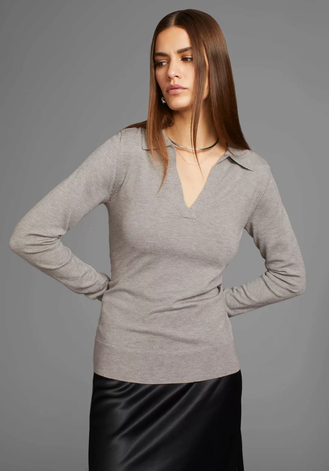 HECHTER PARIS Polokragenpullover mit elegantem V-Ausschnitt günstig online kaufen