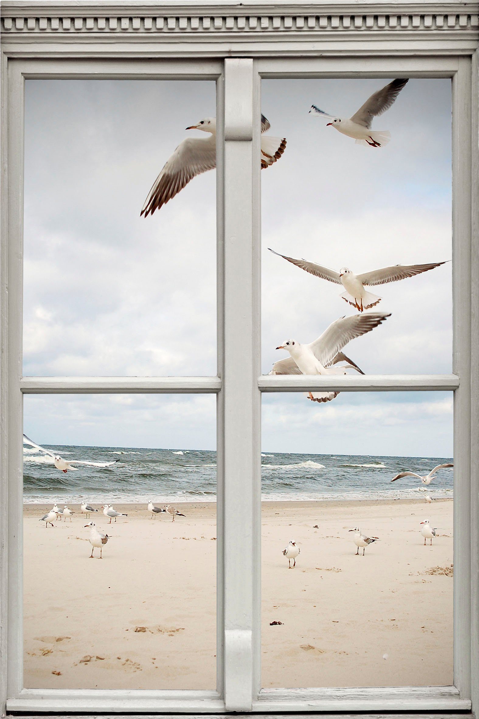 queence Wandsticker Möwen am Strand, Wandsticker, günstig online kaufen