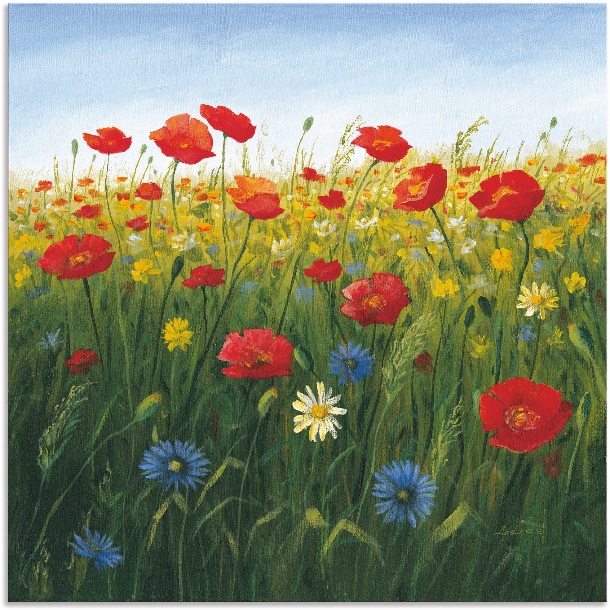 Artland Wandbild "Mohnblumen Landschaft I", Blumenwiese, (1 St.), als Alubi günstig online kaufen