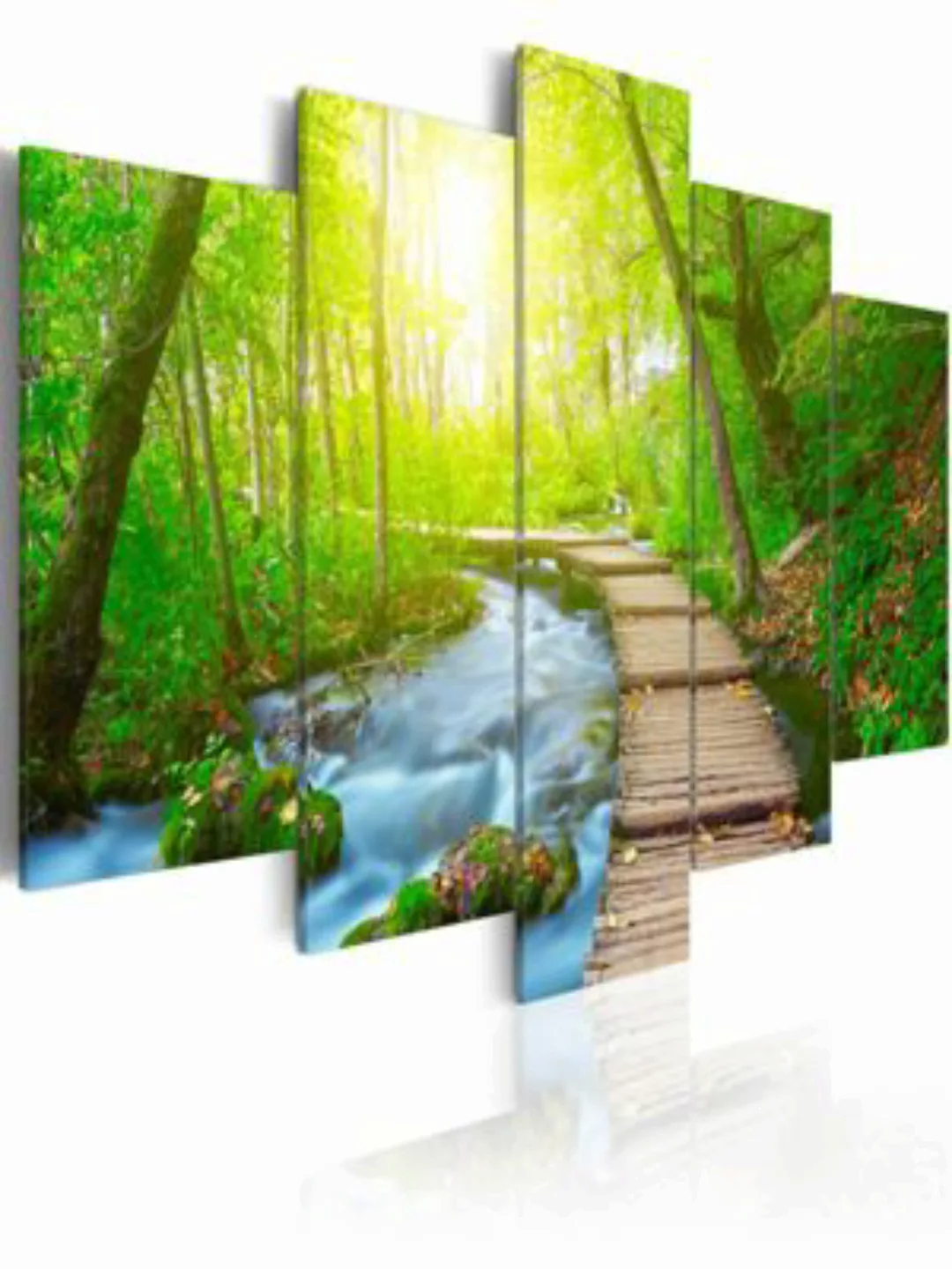 artgeist Wandbild Sunny Forest mehrfarbig Gr. 200 x 100 günstig online kaufen