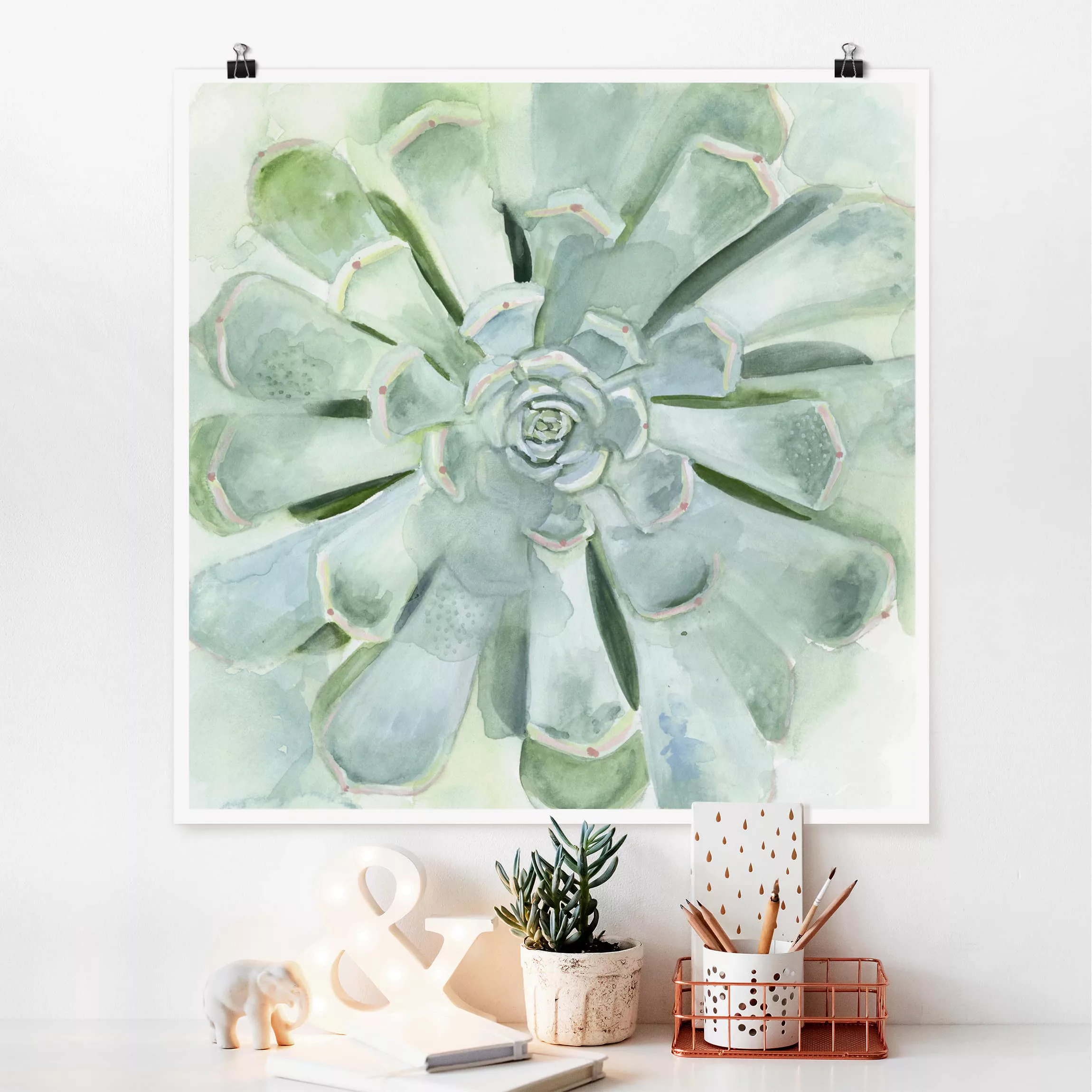 Poster Blumen - Quadrat Sukkulente Aquarell Hell günstig online kaufen