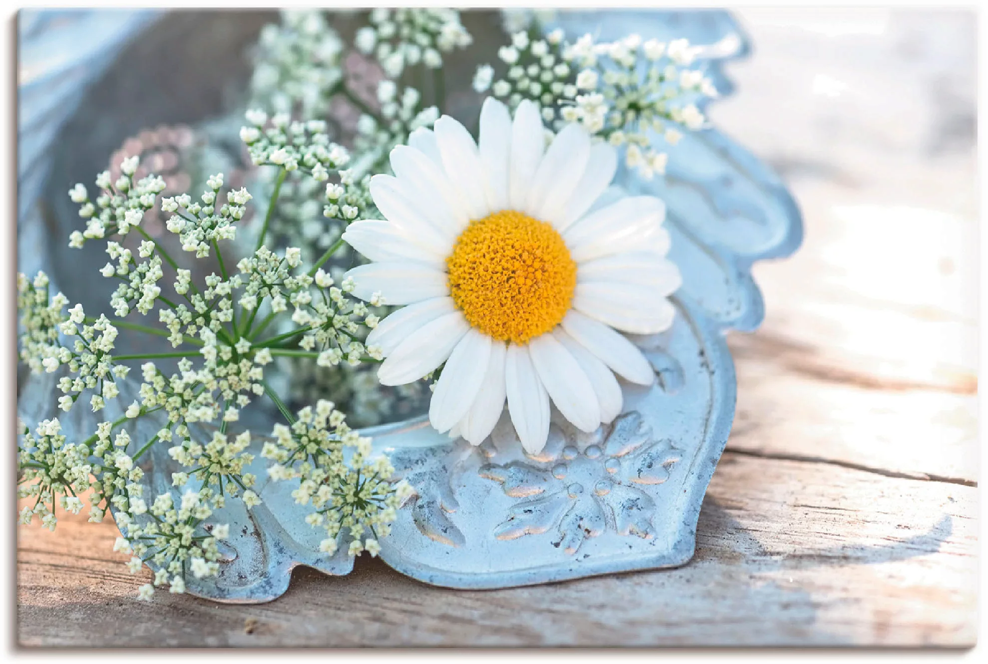 Artland Leinwandbild »Zarte Margeriten Blüte«, Blumen, (1 St.), auf Keilrah günstig online kaufen