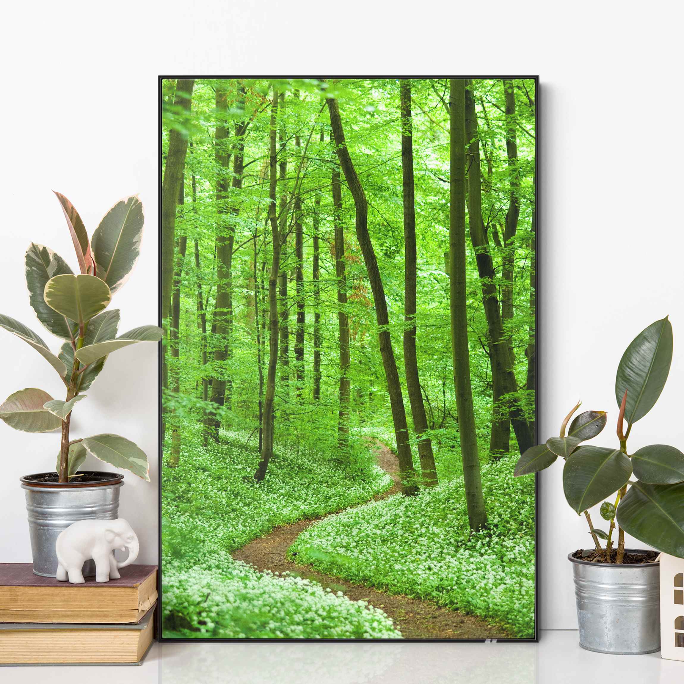 Wechselbild mit Spannrahmen Romantischer Waldweg günstig online kaufen