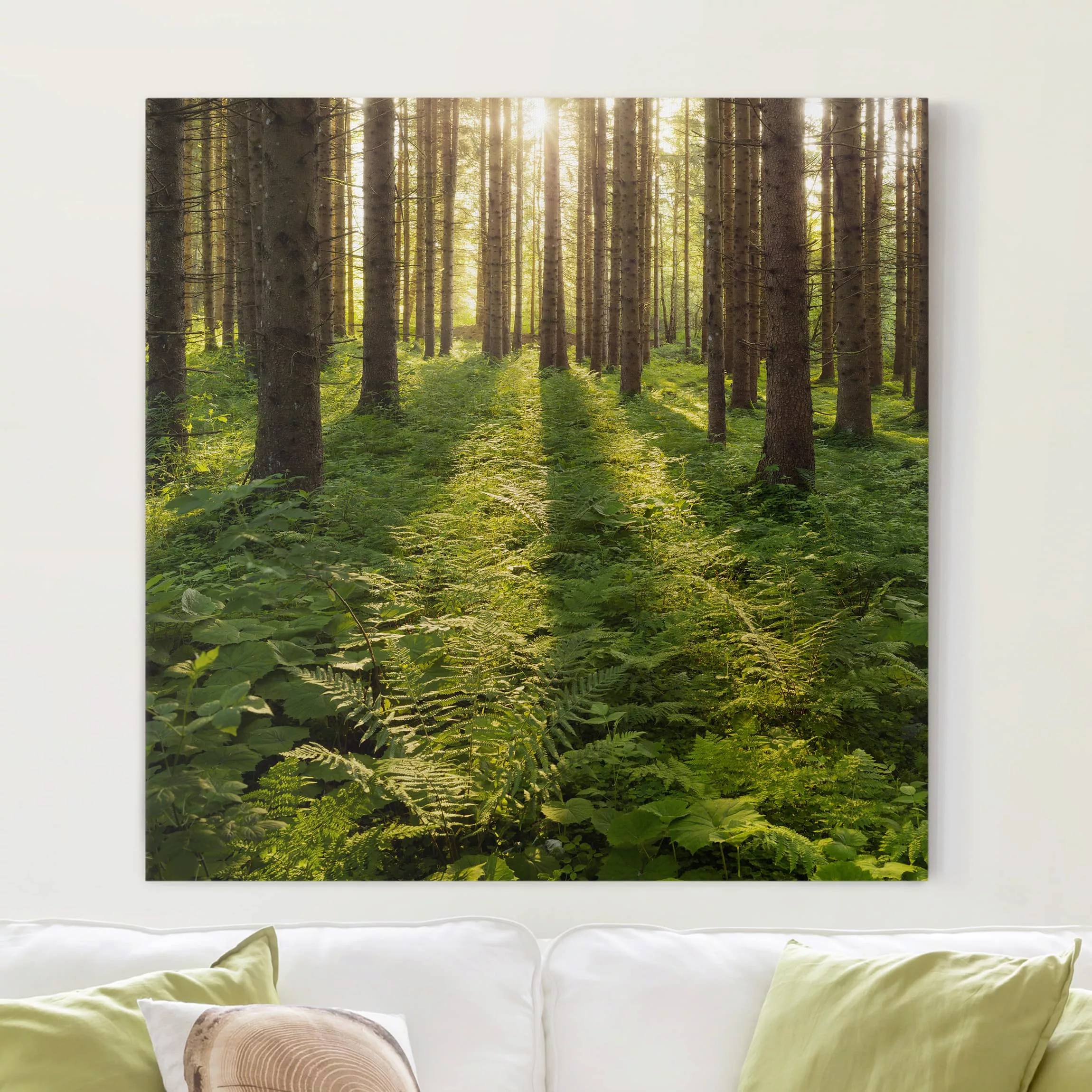 Leinwandbild Wald - Quadrat Sonnenstrahlen in grünem Wald günstig online kaufen