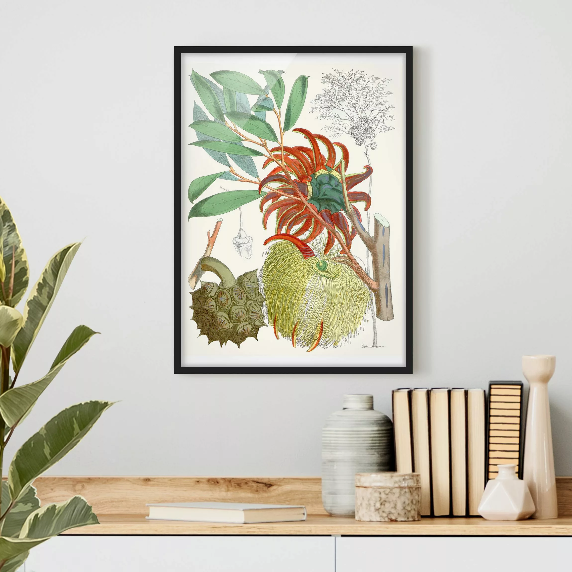 Bild mit Rahmen Blumen - Hochformat Vintage Illustration Tropische Blüten I günstig online kaufen